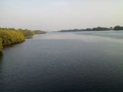 PAMPAS